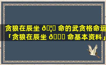 贪狼在辰坐 🦍 命的武贪格命运「贪狼在辰坐 🐞 命基本资料」